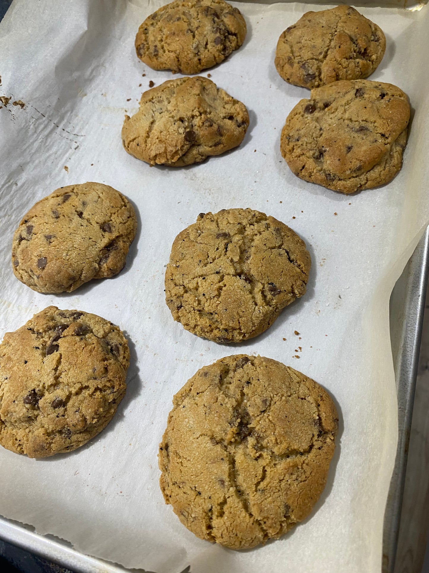 Chocolate Chip